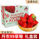 玖玖农场 丹东99草莓 中果 单果果重25-30g 1kg