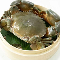 PLUS会员：意和旺 鲜活大青蟹大螃蟹 缅甸红膏蟹3.5-4两/只