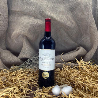 Chateau Blaignan 碧朗城堡 多梅多克干型红葡萄酒 2017年 2瓶*750ml套装 礼盒装
