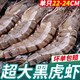 XYXT 虾有虾途 泰国超大黑虎虾新鲜19-22cm 鲜活冷冻海鲜批发斑节虾