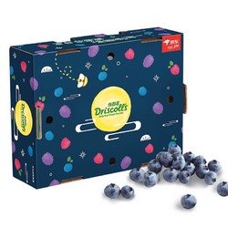 怡颗莓 Driscoll's  秘鲁进口蓝莓 原箱装12盒 约125g/盒 水果礼盒