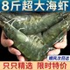 XYXT 虾有虾途 青岛海水大虾 单只11-14cm 2kg