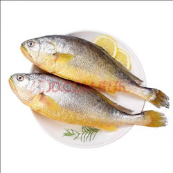 东海特大 黄花鱼（每斤16条）*5斤