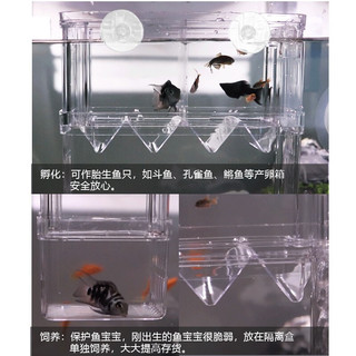 派乐特 鱼缸孵化盒孔雀鱼繁殖盒斗鱼亚克力隔离盒 孵化盒小号