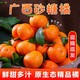 广西沙糖桔5/8斤新鲜砂糖橘薄皮橘子批发一整箱