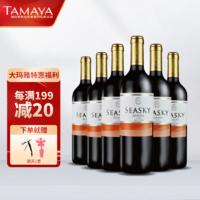 TAMAYA 大玛雅 智利大玛雅 西思凯奥罗拉半干红葡萄酒 750ml 入门级 6瓶整箱