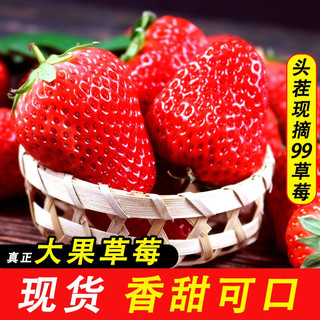 鲜姿 丹东99红颜奶油大草莓 2斤推荐装 单果20-30g