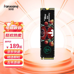 FANXIANG 梵想 S500Q 固态硬盘 2TB送系统u盘