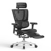 Ergonor 保友办公家具 优旗舰W2 高端人体工学椅 碳钢黑