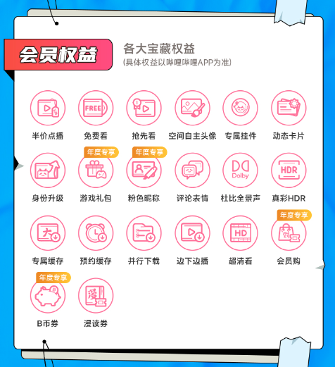 bilibili 哔哩哔哩 大会员12个月年卡