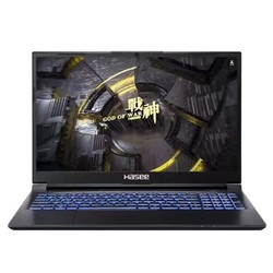 Hasee 神舟 战神Z7-RA9 15.6英寸笔记本电脑（i9-13900H、16GB、512GB）