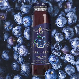 吕梁野山坡 蓝莓汁饮料 300ml*12瓶