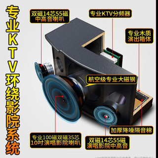 山水（SANSUI）SP9-10家庭KTV音响套装全套家用会议音响电视K歌卡拉OK大功率 SP9-10+话筒+3T点歌机 厂家直供