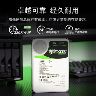 SEAGATE 希捷 捷银河 Exos X20系列