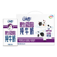 yili 伊利 QQ星伊利原生A2β-酪蛋白儿童纯牛奶125ml*16盒 3.8g蛋白高钙 礼盒装