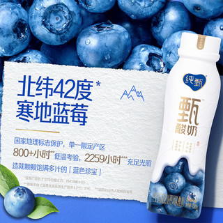 MENGNIU 蒙牛 纯甄 甄酸奶蓝莓味230g×10瓶