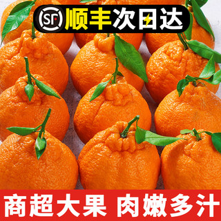 四川不知火丑橘10斤新鲜水果整箱应当季丑八怪耙耙桔子柑粑粑橘子