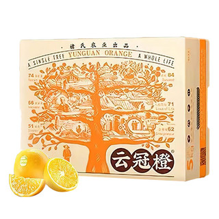 CHU’S AGRICULTURE 褚氏农业 云冠橙 单果重175g-210g 5kg