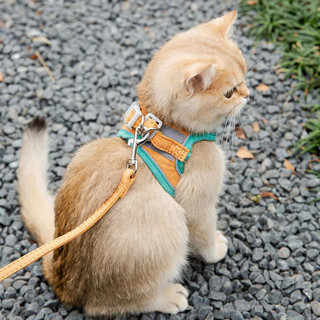 D-cat 多可特 猫咪牵引绳可爱背心式胸背防挣脱幼猫魔术贴安全扣遛猫绳