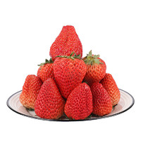 果沿子 新鲜大凉山奶油草莓 1.5斤装