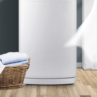 CHIGO 志高 5B36系列 定频波轮洗衣机