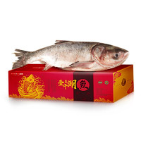 CHINGREE 查干湖 胖头鱼 3.75-8kg