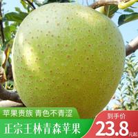 什谷丰 新鲜青森苹果  5斤礼盒装