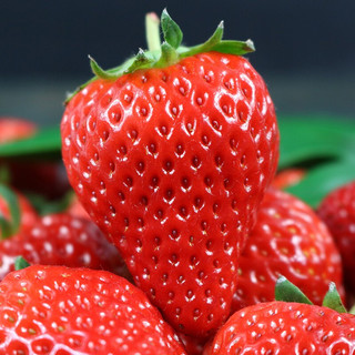 鲜姿 红颜奶油草莓 单果15-25g 1kg