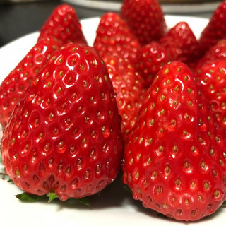 鲜姿 红颜奶油草莓 单果15-25g 1kg