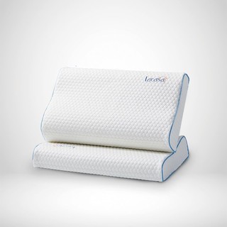LACASA 乐卡莎 记忆棉枕头枕芯套装一对家用单人一只男生成人护颈椎助眠带