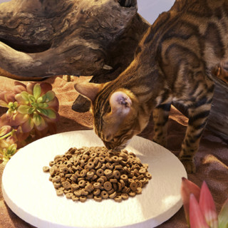 LEGEND SANDY 蓝氏 高肉慢烘系列 兔肉烘焙全阶段猫粮 1.5kg