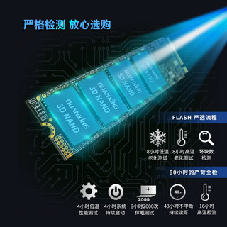 QUANXING 铨兴 N301 M.2固态硬盘 PCIe3.0