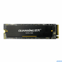 QUANXING 铨兴 N301 M.2固态硬盘 512GB PCIe3.0