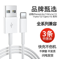 百客莱 适用苹果数据线iPhone13快充12手机6s充电线8/7P器pro11maxs品牌X加长7plus套装Xse平板充电2米闪充r