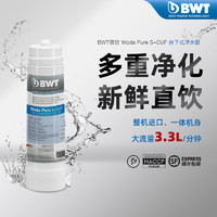 BWT 倍世 进口净水器家用除杂质异色异味0.01μm除菌余氯滤芯S-CUF