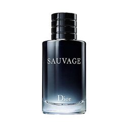 Dior 迪奥 旷野男士淡香水 EDT 100ml