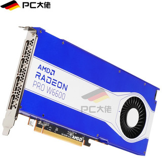 AMD Radeon Pro W6600 显卡 8GB 蓝色