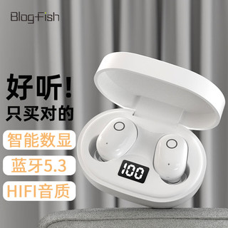 Blog.Fish TM63 入耳式真无线蓝牙耳机