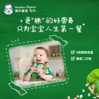 Gerber 嘉宝 海外嘉宝进口婴儿辅食宝宝零食米粉西梅泥气泡磨牙棒组合装