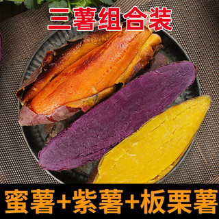 澳农卡 新鲜番薯地瓜板栗紫薯烟薯25号糖心蜜薯5斤