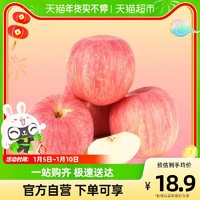 RT-Mart 大润发 山东栖霞红富士4粒装870-950g苹果美味精选新鲜水果
