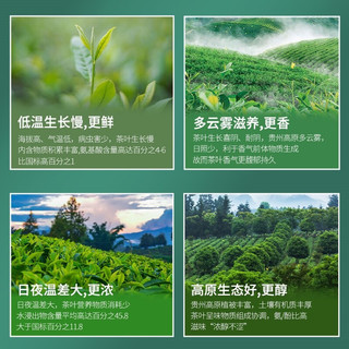 贵 茶叶 红宝石贵州高山云雾红茶 缤纷红茶礼盒180g