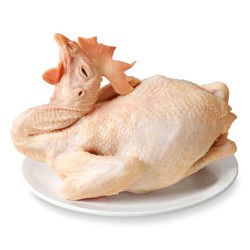 WENS 温氏 供港老母鸡 1.2kg（下4件送两个800g的鸡肉洋葱圈）