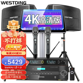 WESTDING 威斯汀 166点歌机ktv音响套装 家庭影院音响组合专业唱歌12英寸卡拉ok音箱 166音响+397功放+K51话筒+2T点歌机