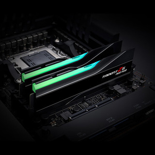 G.SKILL 芝奇 焰锋戟系列 DDR5 6000MHz RGB 台式机内存 灯条 黑色 32GB 16GBx2 C32 F5-6000J3238F16GX2-TZ5NR