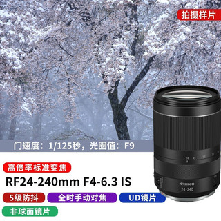 佳能（Canon） RF全画幅微单变焦镜头 适用于R3 R5 R6 R7 R10 RP 专业微单镜头 RF15-35mm F2.8 L IS USM 官方标配  套餐四 RF24-240mm F4-6.3 IS USM