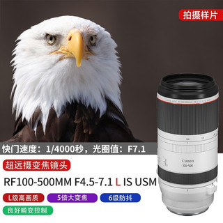 佳能（Canon） RF全画幅微单变焦镜头 适用于R3 R5 R6 R7 R10 RP 专业微单镜头 RF15-35mm F2.8 L IS USM 官方标配  套餐一 RF100-500mm F4.5-7.1 L IS