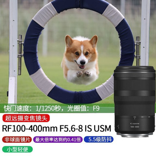 佳能（Canon） RF全画幅微单变焦镜头 适用于R3 R5 R6 R7 R10 RP 专业微单镜头 RF15-35mm F2.8 L IS USM 官方标配  官方标配+ RF100-400mm F5.6-8 IS USM