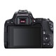 Canon 佳能 EOS 200D II 单反数码相机 女生学生高清旅游拍照照相机 新款二代 套机 250D