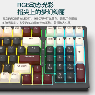 ROYAL KLUDGE RK 98 100键 三模无线机械键盘  ttc七彩红轴水绿轴 RGB